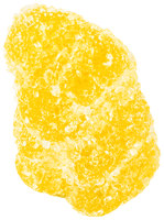 Bear 10