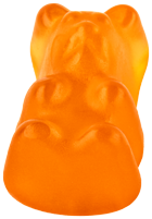 Bear 7