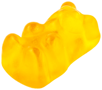 Bear 8